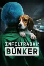 Undercover Inside the Bunker