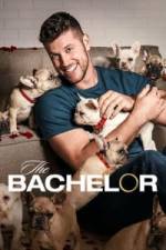 The Bachelor - Season 26