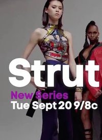 Strut - Season 1