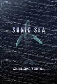 Sonic Sea